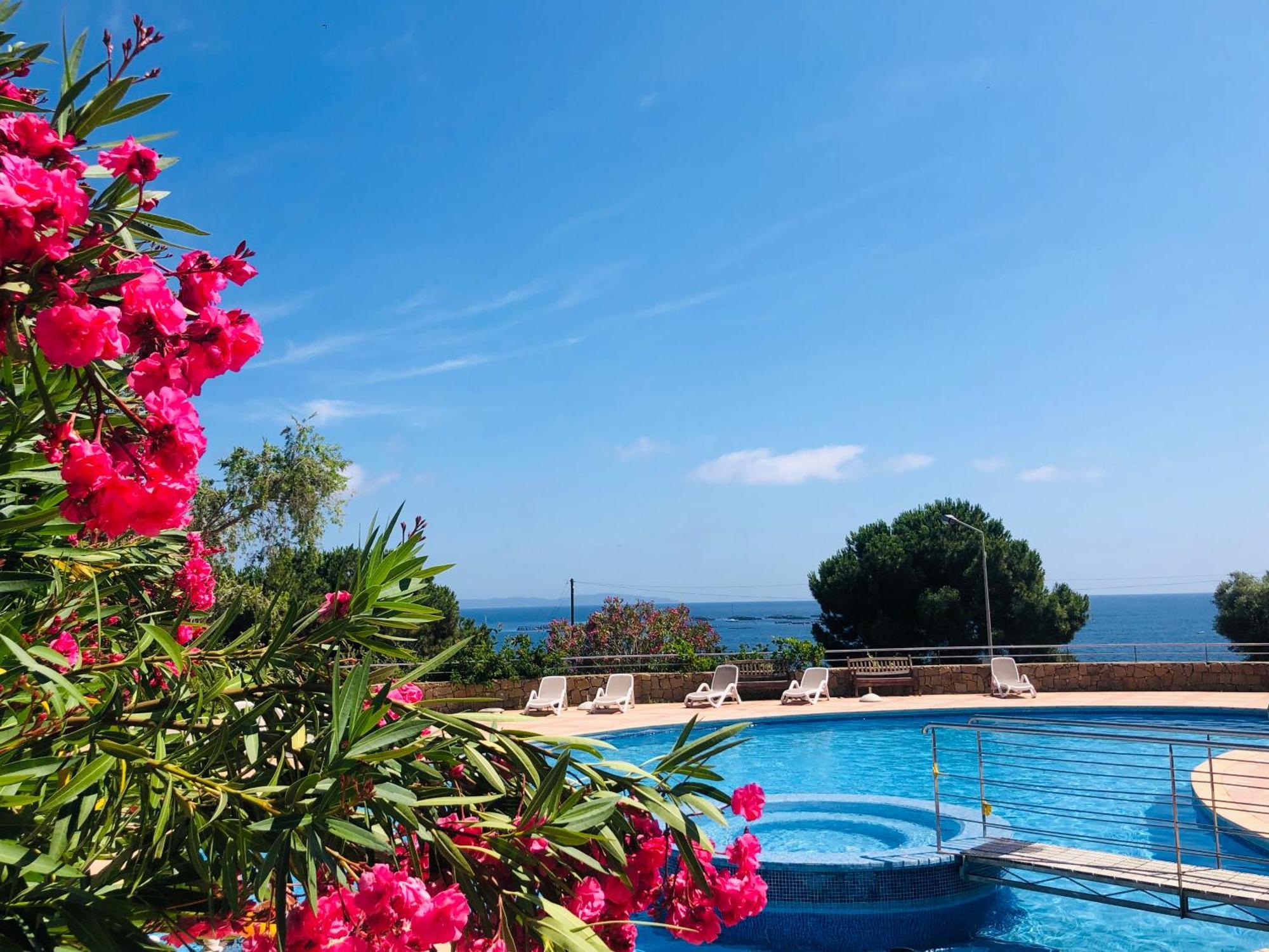 Superbe T2 Vue Mer - Piscine & Plage A 100M Ajaccio  Exteriér fotografie