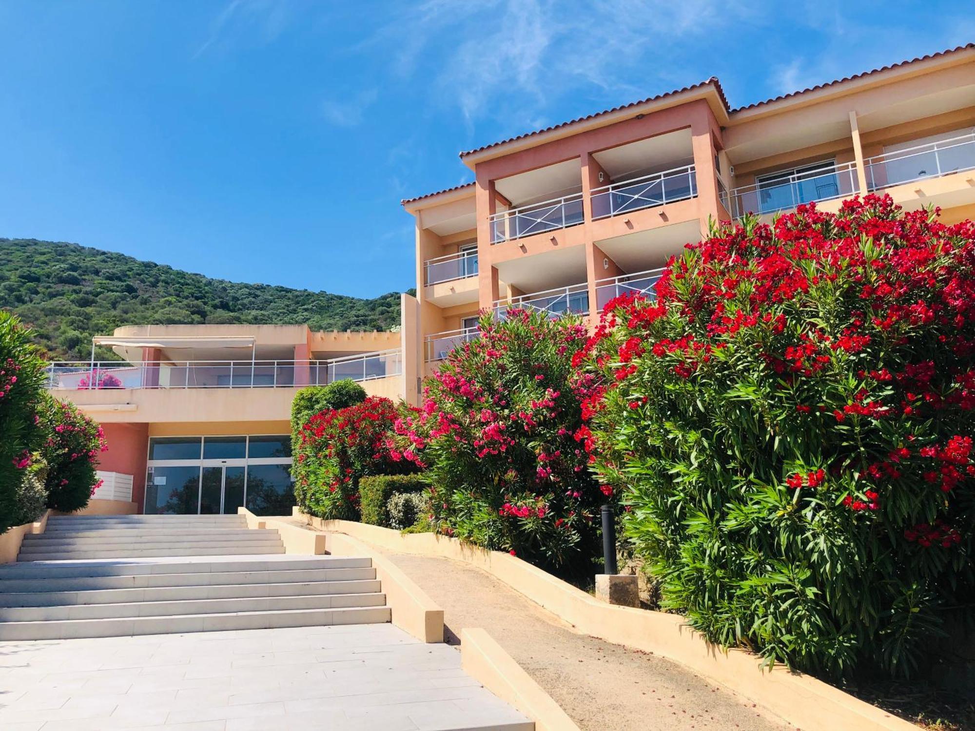 Superbe T2 Vue Mer - Piscine & Plage A 100M Ajaccio  Exteriér fotografie